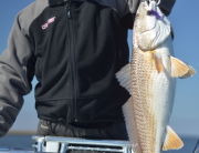 Ron's Louisiana redfish on Fly