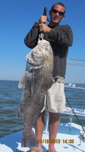 45# LOUISIANA BLACK DRUM CAYGHT IN THE LAND OF GIANTS