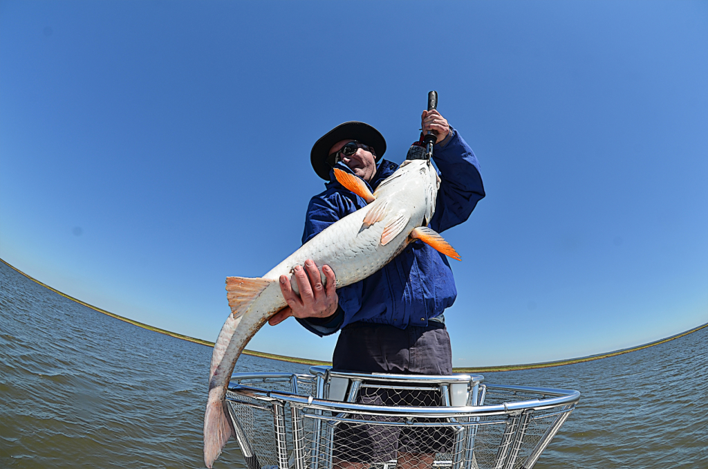 Giant red belly
