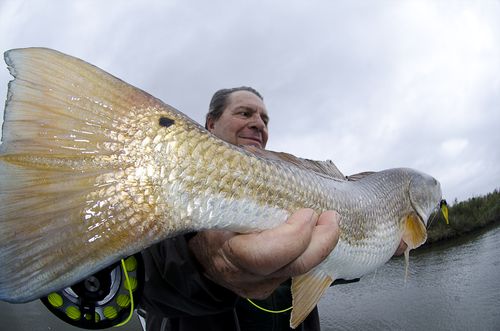 Giant red tail